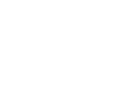 Evolution games at Vegas Royale Casino
